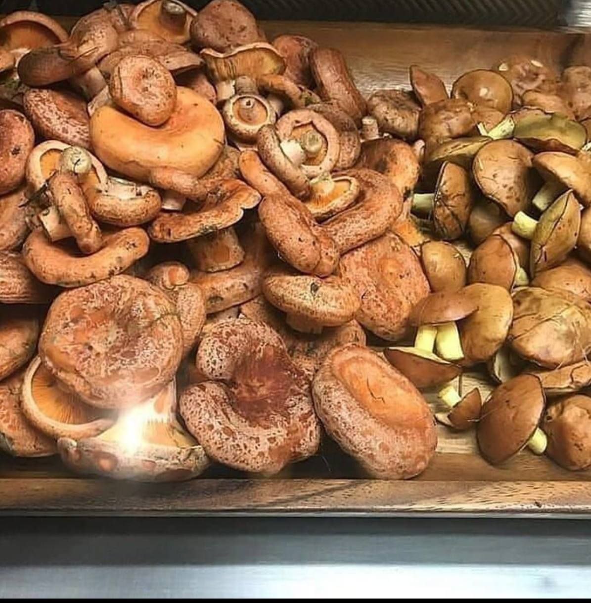 Treasure Coast Side View