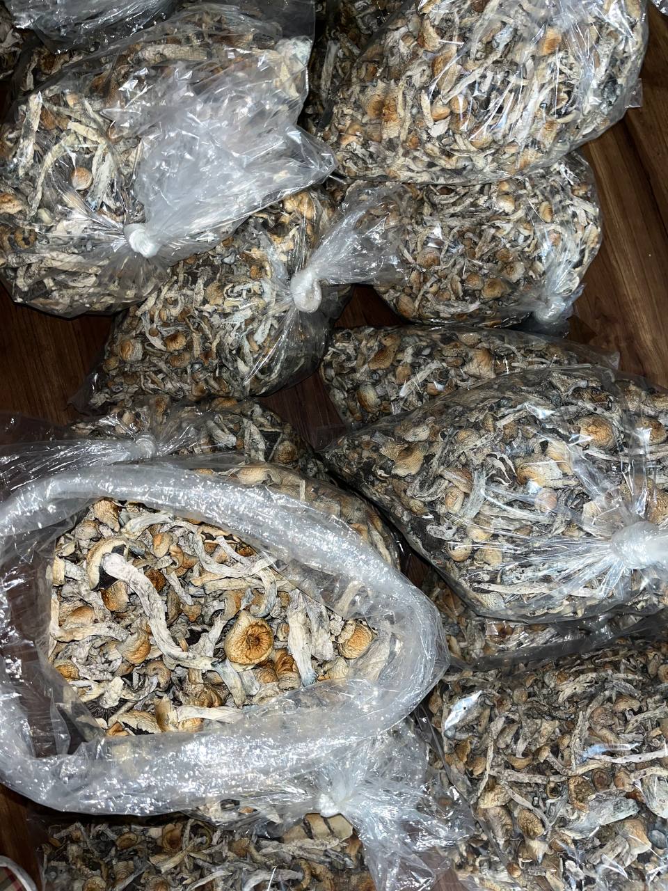 Penis Envy Side View