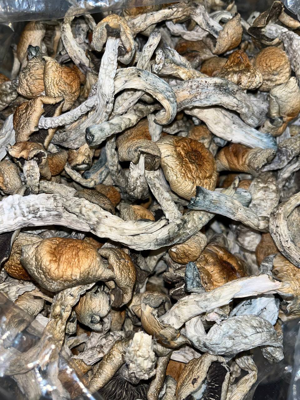 Penis Envy - Main Image